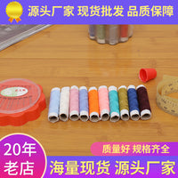 Portable Sewing Kit for Home Use - DIY Mending Set with Needles and Threads