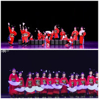 Kids' Traditional Chinese Opera Costume for Stage Performance - Seven-Rank Sesame Official