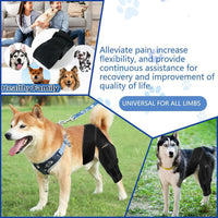 Pet Dog Knee Brace for Injury Recovery and Leg Support