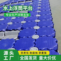 Modular Plastic Floating Dock System for Platforms, Fishing, and Aquaculture