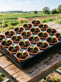 20-Cell Seedling Starter Trays with Drainage Holes for Garden Plant Propagation