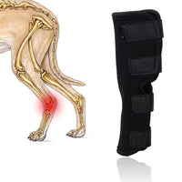 Pet Dog Knee Brace for Post-Surgery Recovery and Joint Support