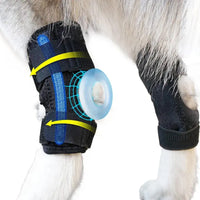 Pet Dog Knee Brace for Injury Support and Lick Prevention