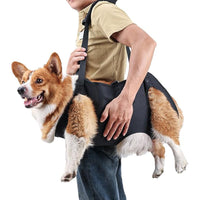 Full Body Dog Lift Harness for Support and Rehabilitation