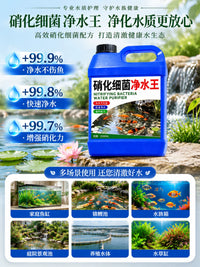 Nitrifying Bacteria Water Purifier for Aquarium Fish Tank, Live Bacteria Water Clarifier and Stabilizer