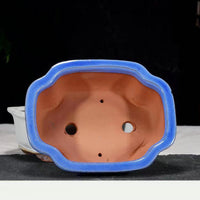 Glazed Ceramic Succulent Planter Pot for Indoor Plants