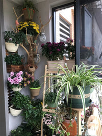 Artificial Vine Pipe Cover for Balcony and Indoor Decoration