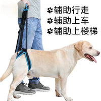 Pet Dog Rear Leg Support Harness for Injured, Disabled, or Elderly Dogs, Walking Aid for Stairs and Mobility