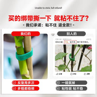 Plant Twist Ties with Cutter for Garden, Reusable Coated Wire for Training and Support