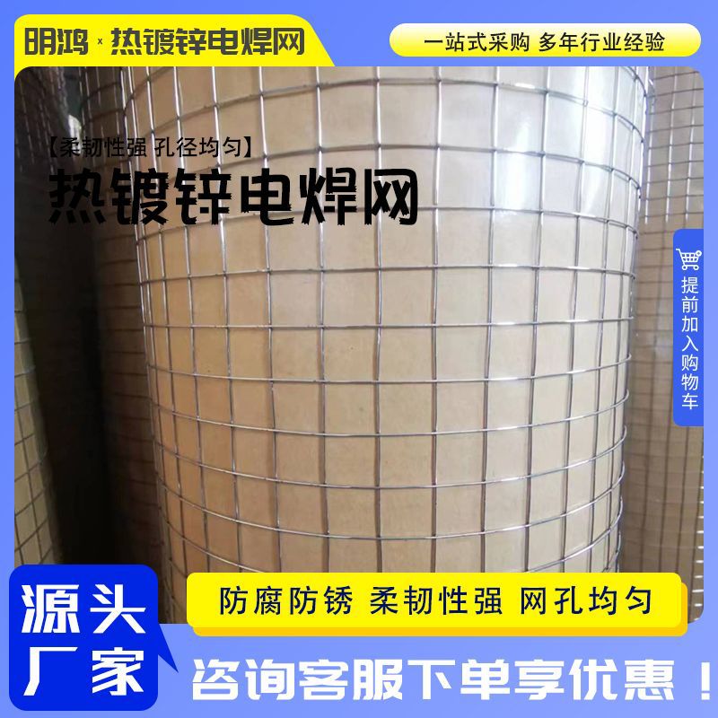 Galvanized Welded Wire Mesh for Construction, Plastering, and Fencing