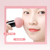 Makeup Brush and Sponge Set with Mirror, Portable Case, Soft Foundation Brush, and Dual-Use Powder Puffs