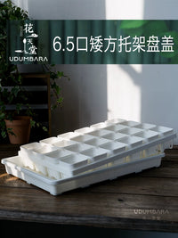 Thickened 6.5cm Square Succulent Planter with Seedling Tray and Humidity Dome