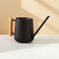 Stainless Steel Long Spout Watering Can with Wooden Handle for Indoor Plants