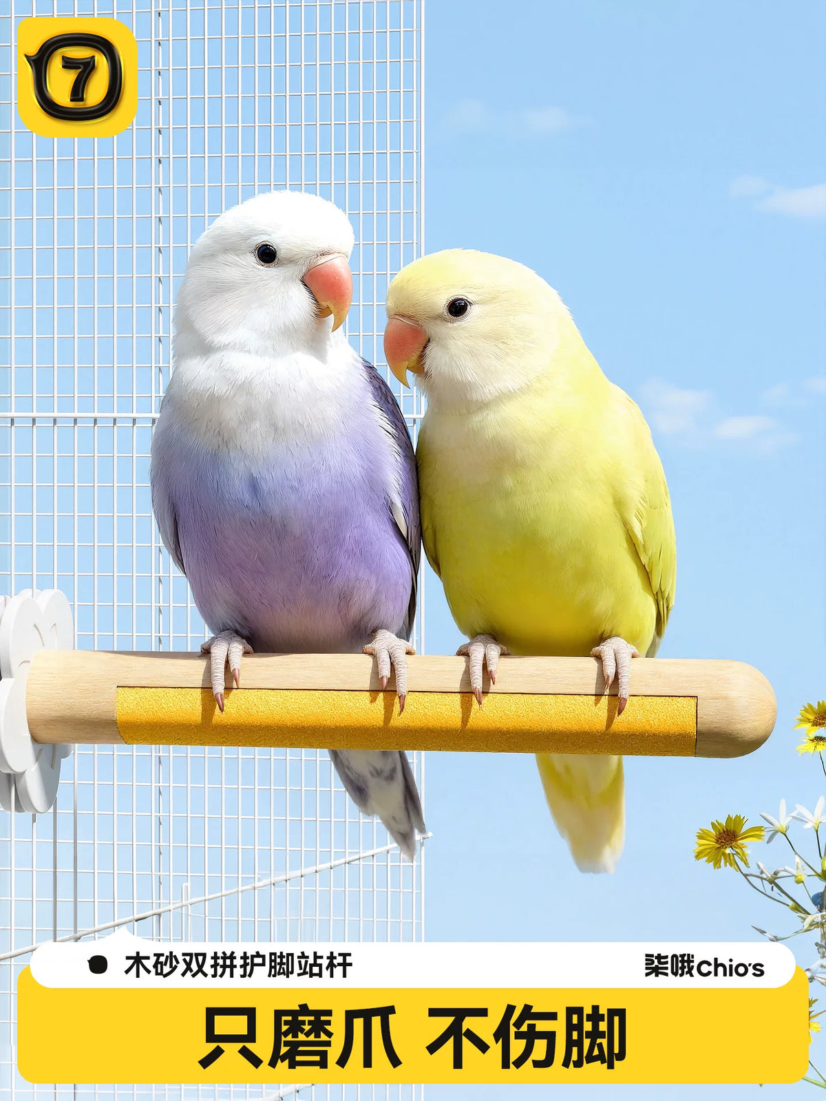 Parrot Grinding Claw Perch Sanded Wood Stand Stick Budgie Peony Sun Conure Toy Chew Rod Bird Cage Accessories