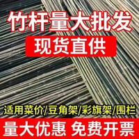 Natural Bamboo Stakes for Garden Plant Support, Climbing Vines, Fencing, and Flagpoles