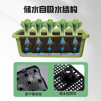 Self-Watering Planter Box for Vegetables, Fruits, and Herbs - Durable Resin Material