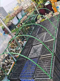 Mini Greenhouse Tunnel for Garden Plants, Fruits, Vegetables, Succulents - Winter Protection, Rain/Sun Shade, Bird Netting