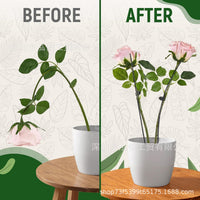 Plant Support Stakes with Clips for Potted Plants, Green Branch-shaped Climbing Trellis Kit
