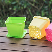 Colorful Square Plastic Plant Pot Saucer for Succulents and Small Plants