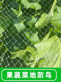 Nylon Anti-Bird Netting for Fruit Trees, Gardens, and Ponds - UV Resistant Protective Mesh