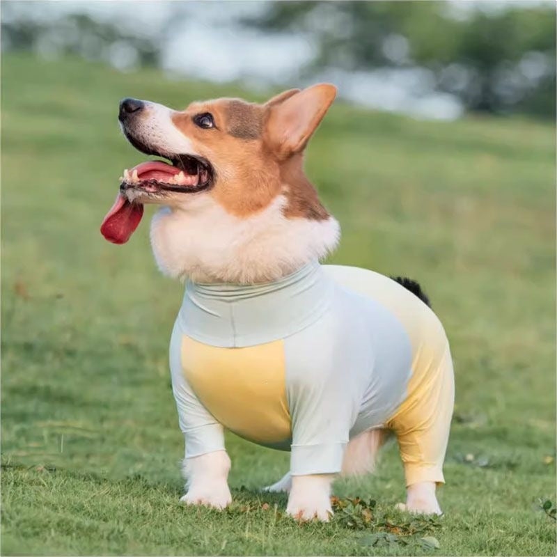 Dog Summer Cooling Sun Protection Jumpsuit for Outdoor Activities