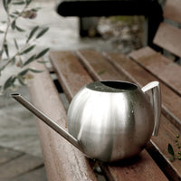 Spherical Stainless Steel Watering Can with Long Spout for Indoor & Outdoor Plants, 1000ml