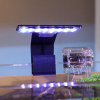Desktop Stream Aquarium with Integrated Filtration & Oxygenation, LED Lighting, and Landscape Decor