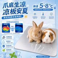 Summer Pet Cooling Aluminum Plate for Hamsters, Rabbits, Chinchillas, Guinea Pigs