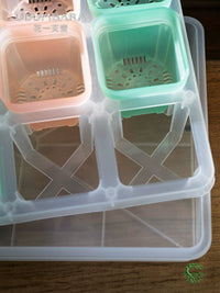 Semi-Transparent Square Plastic Planter with Drainage Tray for Succulents and Seedlings