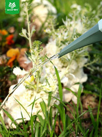 Long Spout Watering Can for Indoor & Outdoor Plants