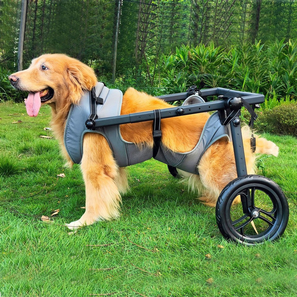 Adjustable Pet Dog Wheelchair for Medium to Large Dogs - Mobility Harness for Injured or Disabled Pets