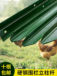 Y-Type Steel Fence Posts for Chicken Coops and Garden Fencing, Solid Support Stakes