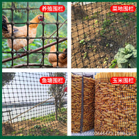 Plastic Poultry Fencing Mesh for Gardens, Orchards, and Fish Ponds