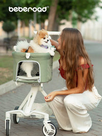 beberoad TT Pet Stroller for Small Dogs and Cats - Lightweight, Foldable, Detachable Carrier