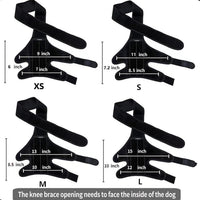 Pet Dog Knee Brace for Injury Recovery and Leg Support