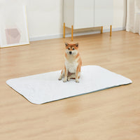 Washable Pet Pee Pad for Cats and Dogs, Non-Slip Absorbent Training Mat for Kennels and Beds