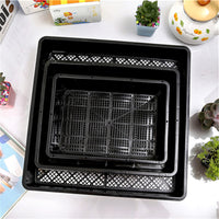 Rectangular Plastic Seedling Tray with Optional Clear Lid for Succulents and Small Plants