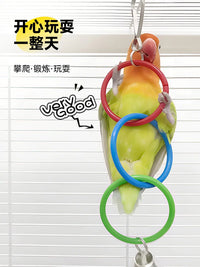 Parrot Swing Toy with Colorful Hanging Rings for Small to Medium Birds