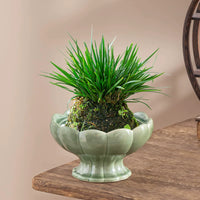 Ceramic Moss Ball Planter Tray with Stand for Hydroponics and Desktop Decor