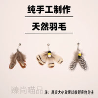 Interactive Retractable Cat Wand Toy with Feather and Insect Refills for Indoor Cats