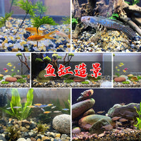 50lb Natural Polished River Pebbles for Aquariums and Landscaping
