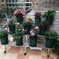 Multi-tier Stainless Steel Plant Stand with Wheels, Heavy Duty Floor-standing Flower Rack for Balcony Patio