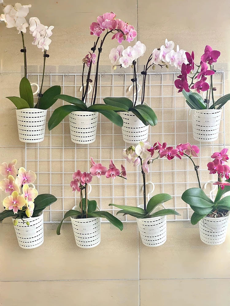 Orchid Hanging Planter Basket with High Transparency Plastic Pot for Indoor and Outdoor Use