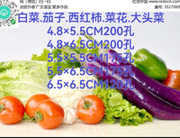 Biodegradable Seedling Starter Paper Pots for Plant Propagation