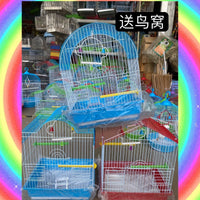 Metal Bird Cage for Parrots, Pigeons, and Small Animals - Indoor/Outdoor Pet Enclosure