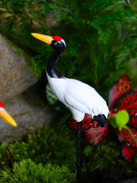 Miniature Crane Figurine for Landscape Decor and Bonsai