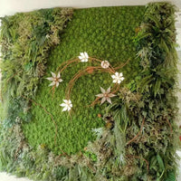 Artificial Moss Plant Wall Decor for Commercial and Residential Spaces