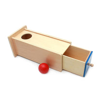 Montessori Wooden Educational Toy for Toddlers and Preschoolers - Early Learning Activity Box