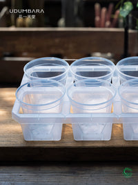 Clear Plastic Orchid Pot with Tray for Root Observation and Propagation