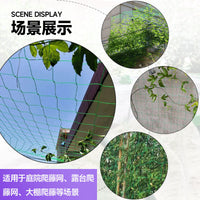 Garden Trellis Netting for Climbing Plants, Fruits, Vegetables, and Flowers